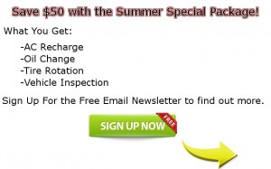 Summer Special Package